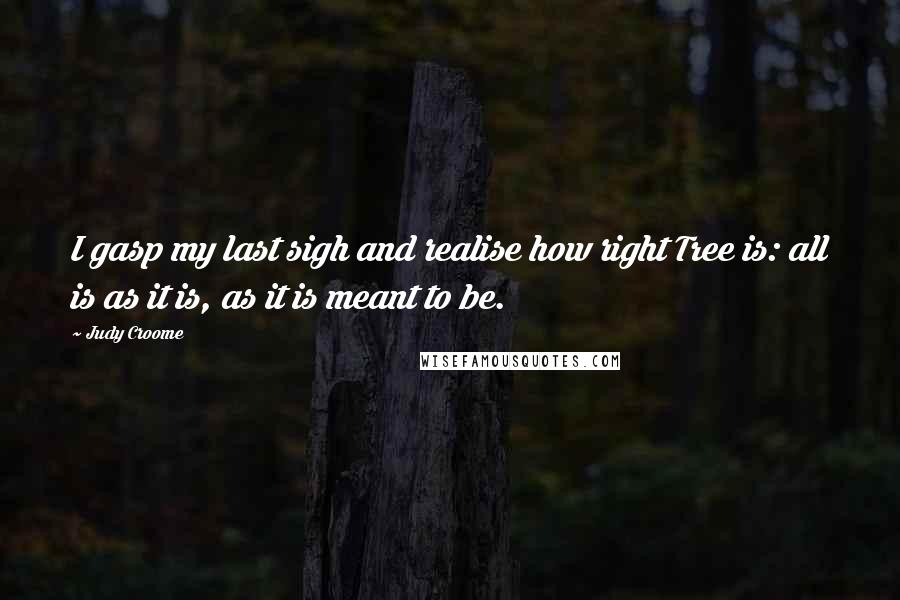 Judy Croome Quotes: I gasp my last sigh and realise how right Tree is: all is as it is, as it is meant to be.