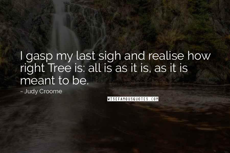 Judy Croome Quotes: I gasp my last sigh and realise how right Tree is: all is as it is, as it is meant to be.