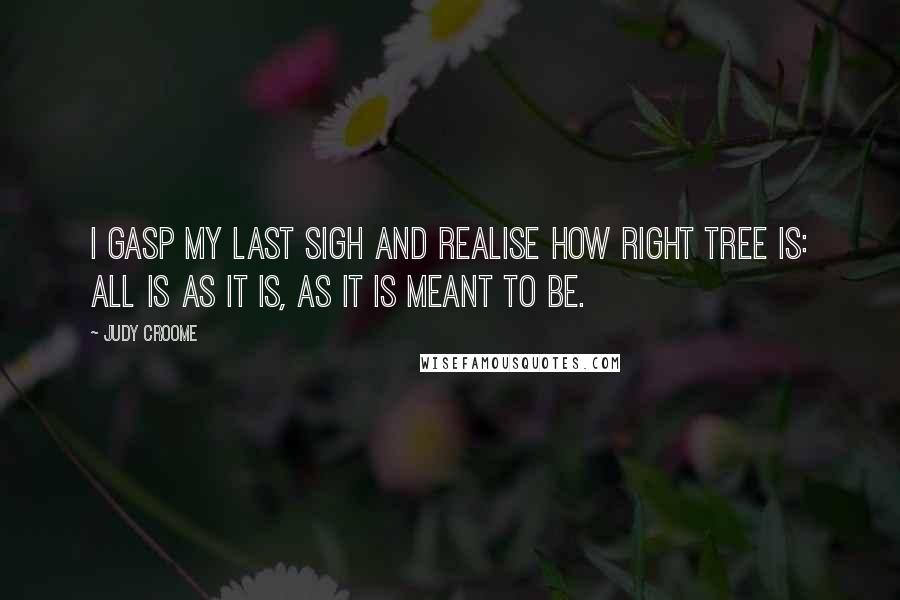 Judy Croome Quotes: I gasp my last sigh and realise how right Tree is: all is as it is, as it is meant to be.