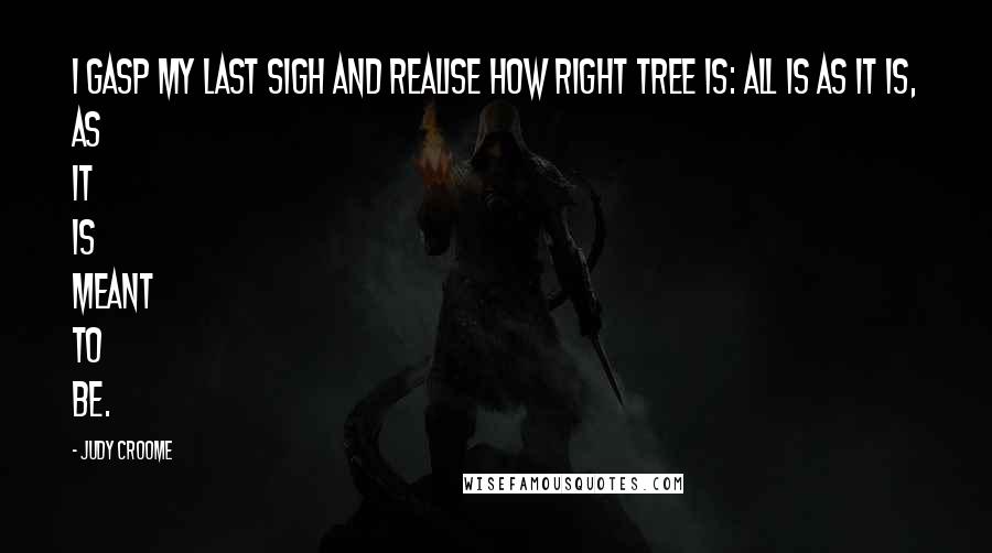 Judy Croome Quotes: I gasp my last sigh and realise how right Tree is: all is as it is, as it is meant to be.