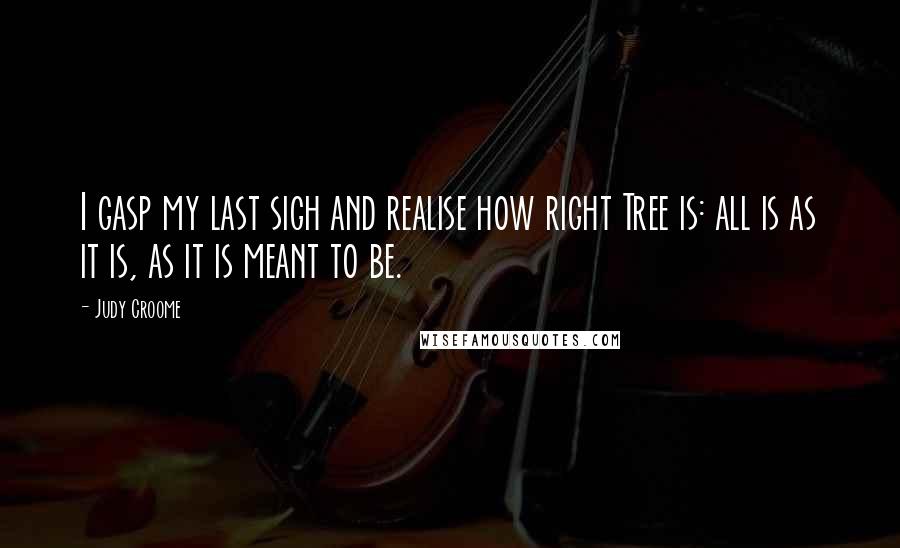 Judy Croome Quotes: I gasp my last sigh and realise how right Tree is: all is as it is, as it is meant to be.