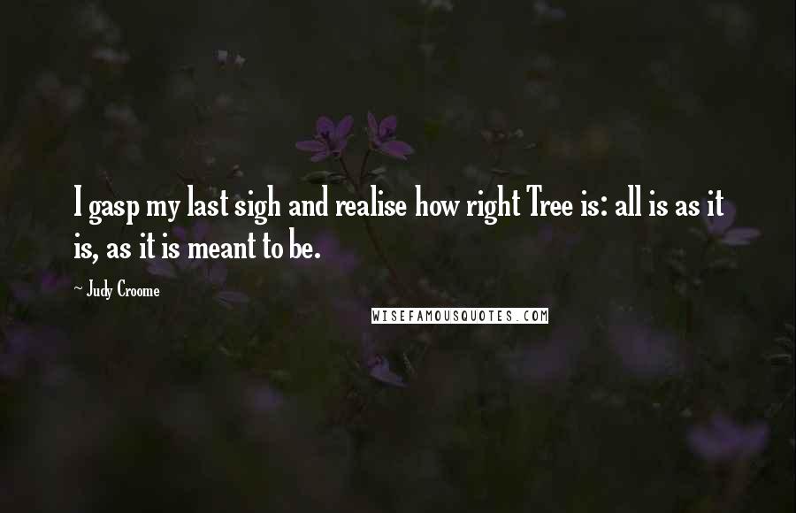 Judy Croome Quotes: I gasp my last sigh and realise how right Tree is: all is as it is, as it is meant to be.