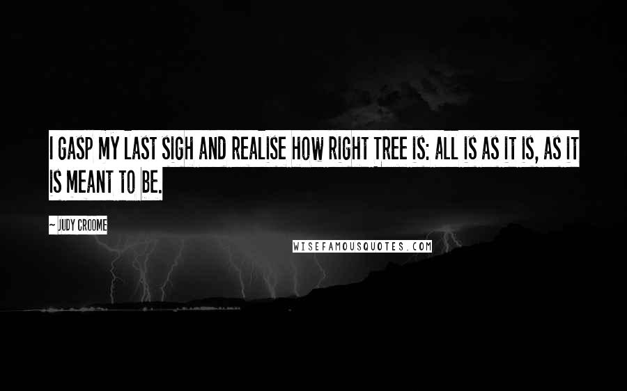 Judy Croome Quotes: I gasp my last sigh and realise how right Tree is: all is as it is, as it is meant to be.