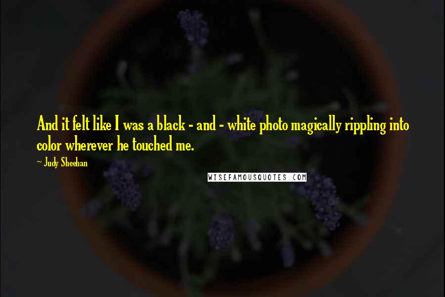 Judy Sheehan Quotes: And it felt like I was a black - and - white photo magically rippling into color wherever he touched me.