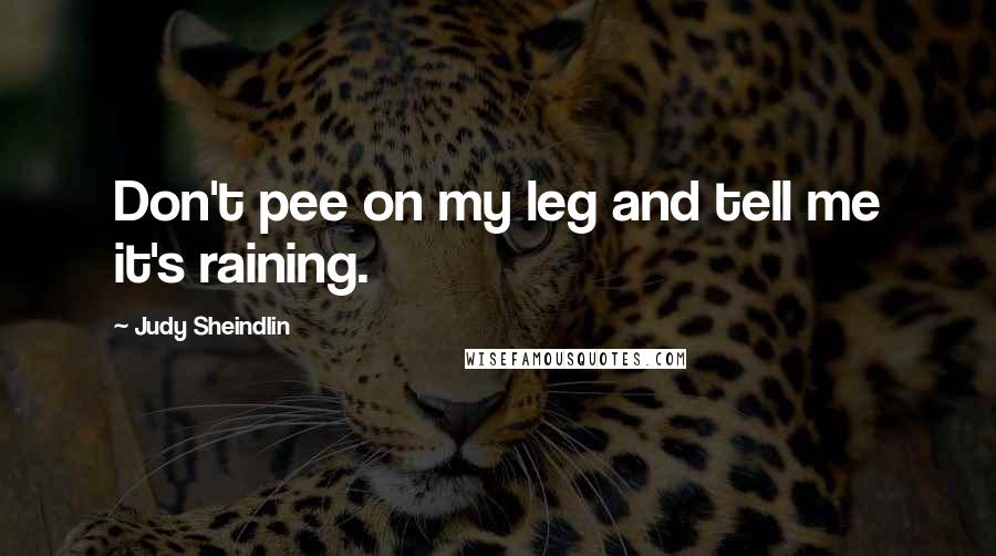 Judy Sheindlin Quotes: Don't pee on my leg and tell me it's raining.