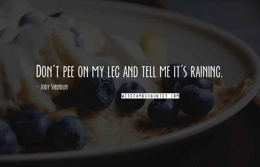 Judy Sheindlin Quotes: Don't pee on my leg and tell me it's raining.