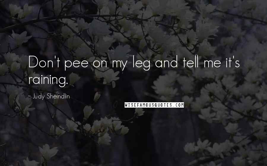 Judy Sheindlin Quotes: Don't pee on my leg and tell me it's raining.