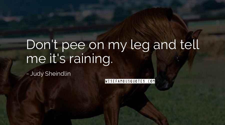 Judy Sheindlin Quotes: Don't pee on my leg and tell me it's raining.