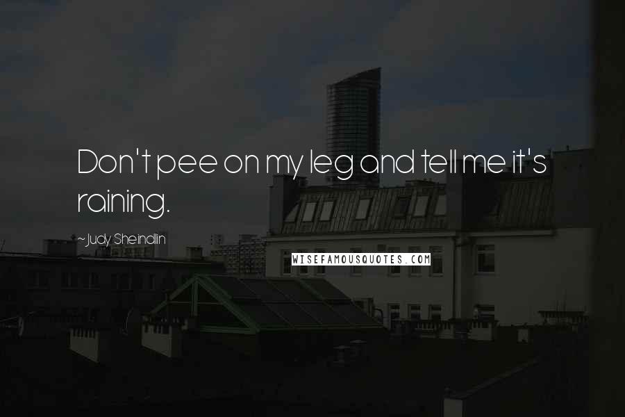 Judy Sheindlin Quotes: Don't pee on my leg and tell me it's raining.