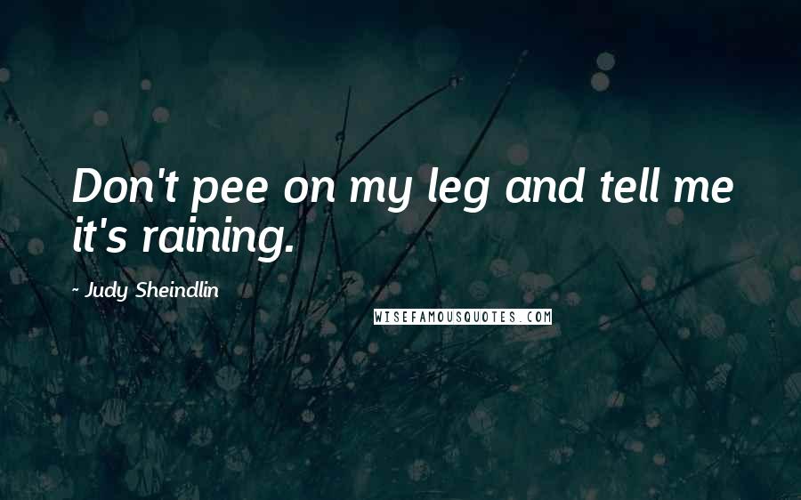 Judy Sheindlin Quotes: Don't pee on my leg and tell me it's raining.