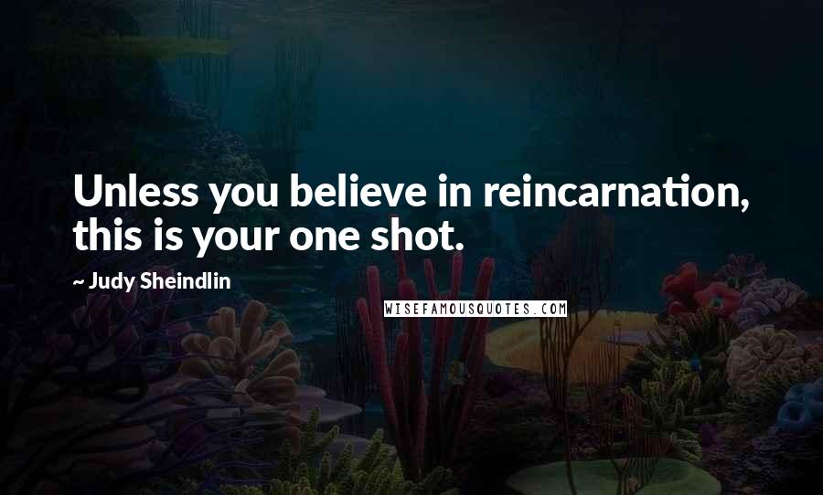 Judy Sheindlin Quotes: Unless you believe in reincarnation, this is your one shot.