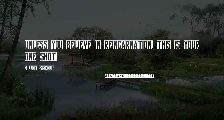 Judy Sheindlin Quotes: Unless you believe in reincarnation, this is your one shot.