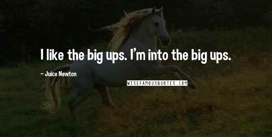 Juice Newton Quotes: I like the big ups. I'm into the big ups.