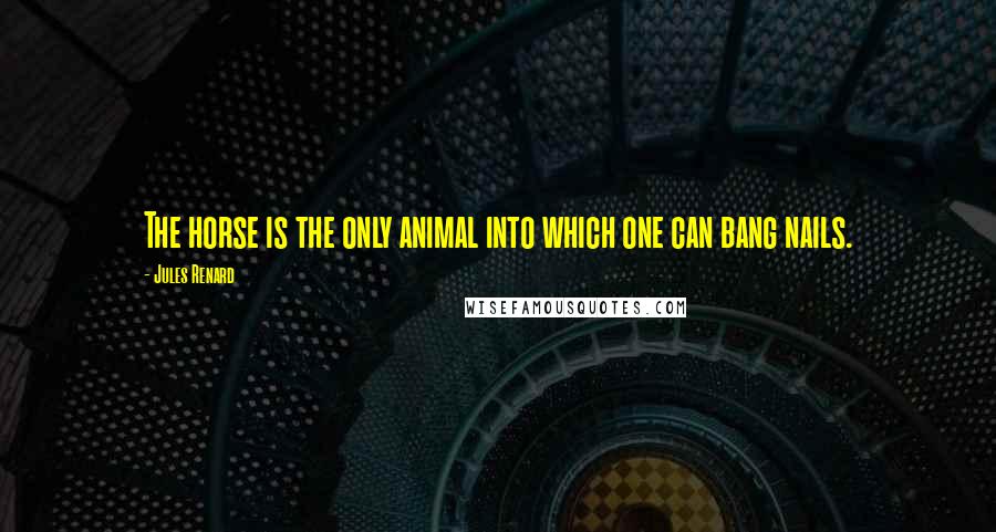 Jules Renard Quotes: The horse is the only animal into which one can bang nails.