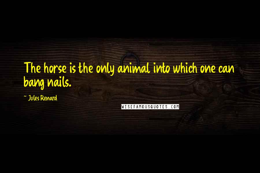 Jules Renard Quotes: The horse is the only animal into which one can bang nails.