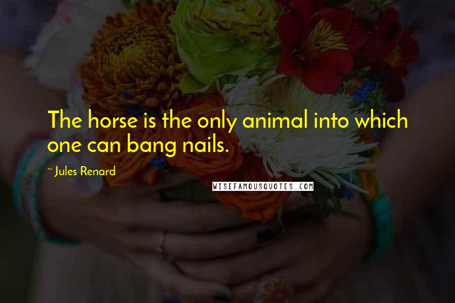 Jules Renard Quotes: The horse is the only animal into which one can bang nails.