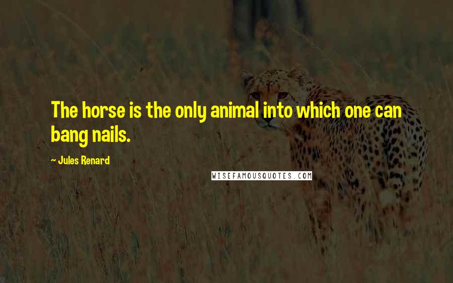 Jules Renard Quotes: The horse is the only animal into which one can bang nails.