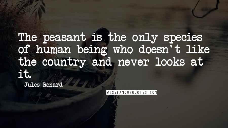 Jules Renard Quotes: The peasant is the only species of human being who doesn't like the country and never looks at it.