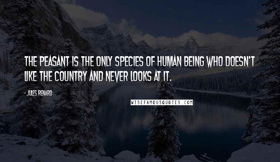 Jules Renard Quotes: The peasant is the only species of human being who doesn't like the country and never looks at it.