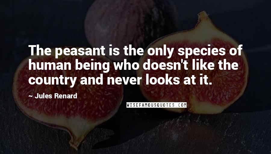 Jules Renard Quotes: The peasant is the only species of human being who doesn't like the country and never looks at it.