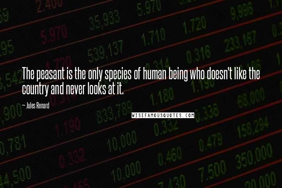 Jules Renard Quotes: The peasant is the only species of human being who doesn't like the country and never looks at it.