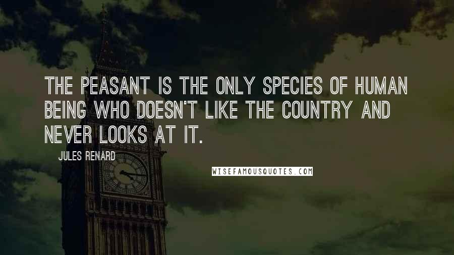 Jules Renard Quotes: The peasant is the only species of human being who doesn't like the country and never looks at it.