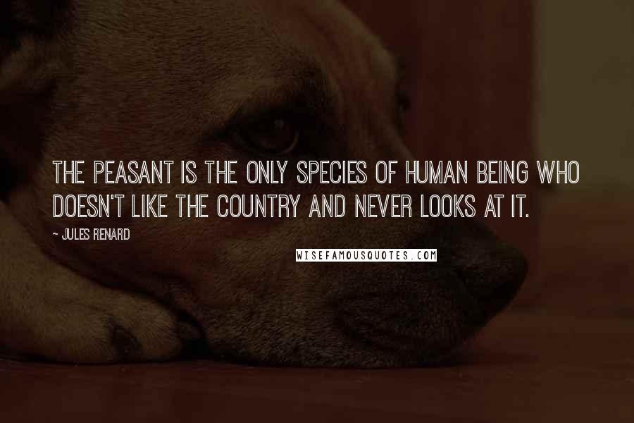 Jules Renard Quotes: The peasant is the only species of human being who doesn't like the country and never looks at it.