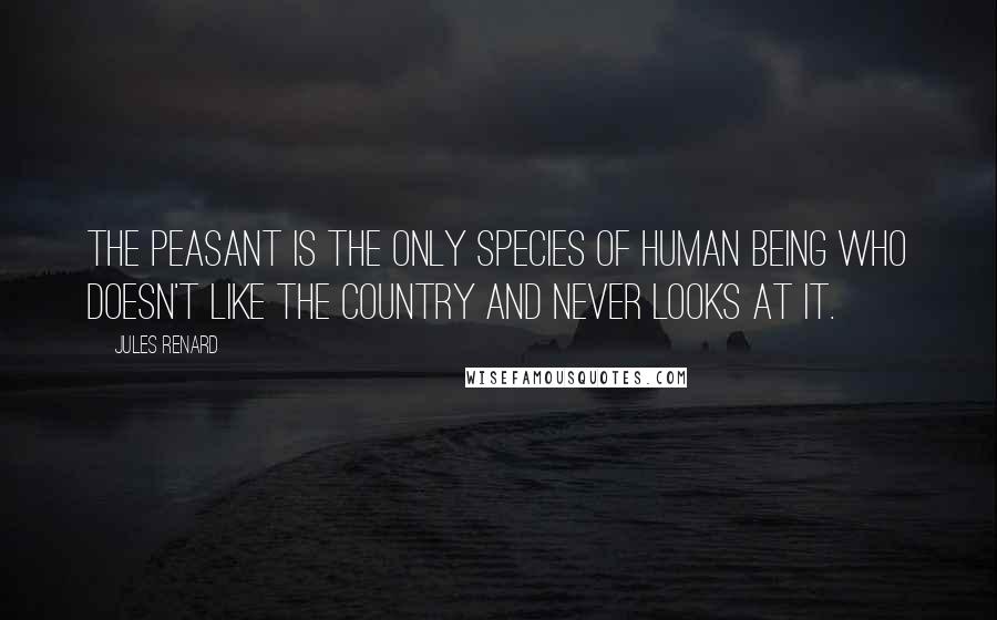 Jules Renard Quotes: The peasant is the only species of human being who doesn't like the country and never looks at it.