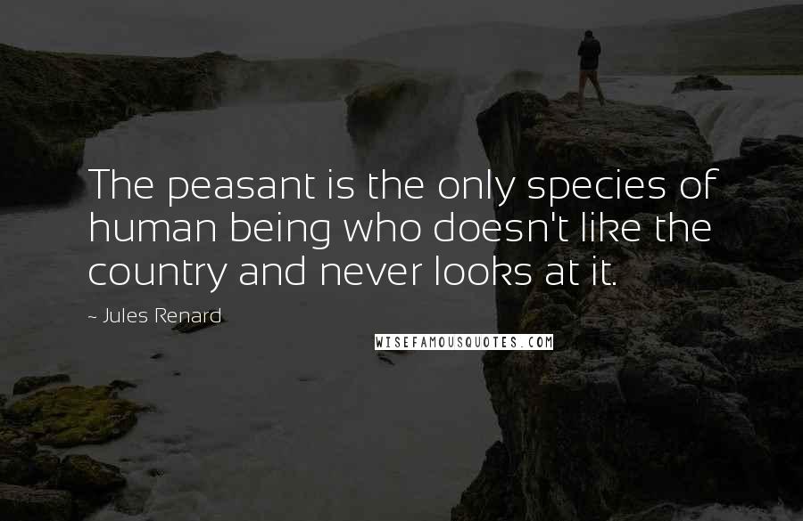 Jules Renard Quotes: The peasant is the only species of human being who doesn't like the country and never looks at it.