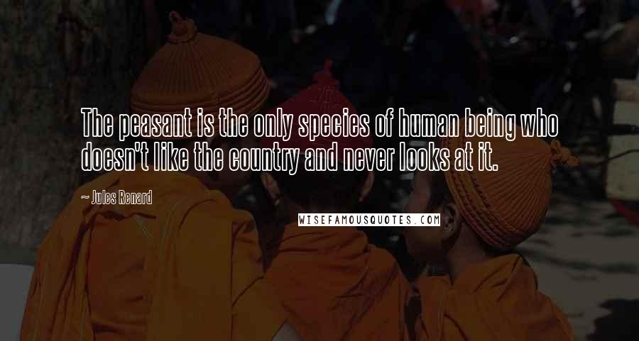 Jules Renard Quotes: The peasant is the only species of human being who doesn't like the country and never looks at it.