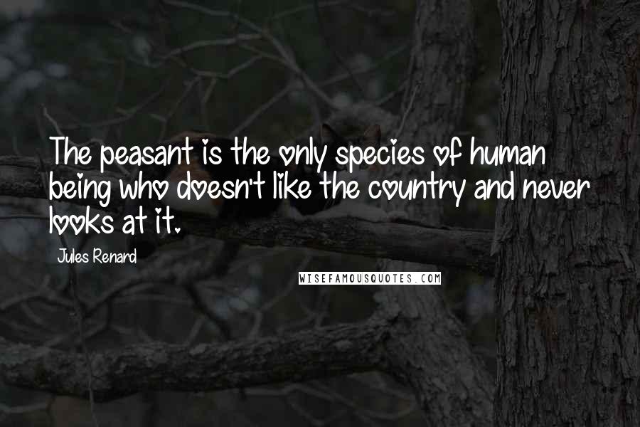 Jules Renard Quotes: The peasant is the only species of human being who doesn't like the country and never looks at it.