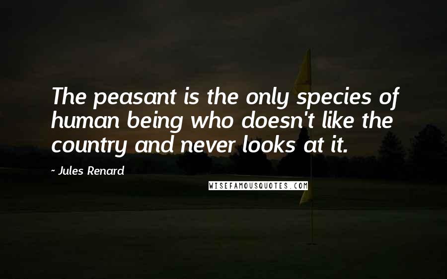 Jules Renard Quotes: The peasant is the only species of human being who doesn't like the country and never looks at it.