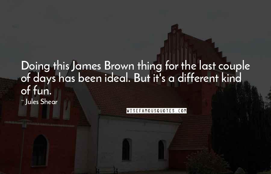 Jules Shear Quotes: Doing this James Brown thing for the last couple of days has been ideal. But it's a different kind of fun.