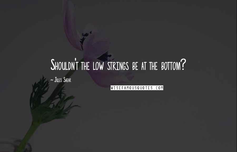 Jules Shear Quotes: Shouldn't the low strings be at the bottom?