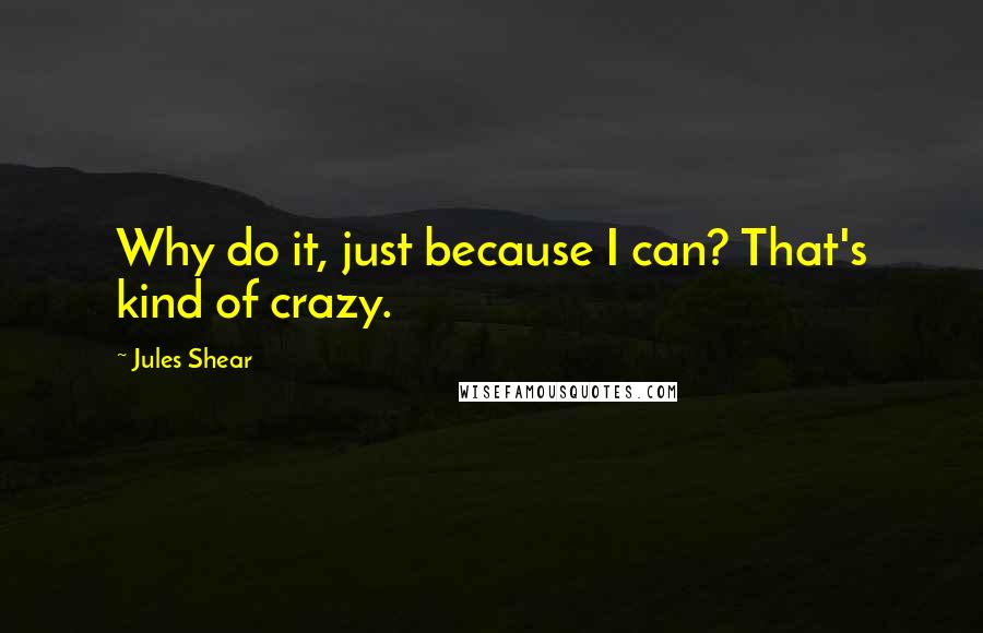 Jules Shear Quotes: Why do it, just because I can? That's kind of crazy.