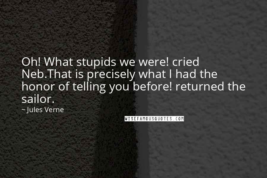 Jules Verne Quotes: Oh! What stupids we were! cried Neb.That is precisely what I had the honor of telling you before! returned the sailor.