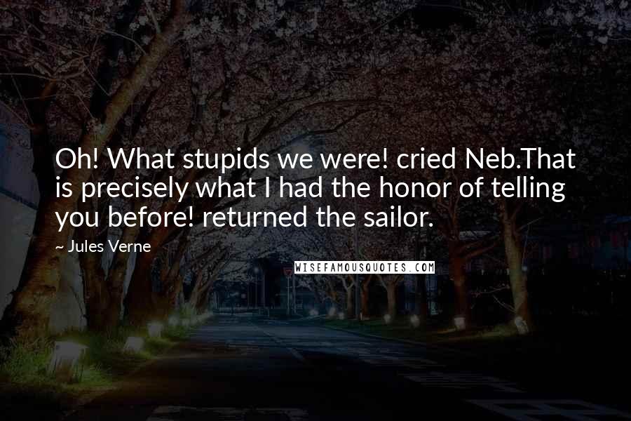 Jules Verne Quotes: Oh! What stupids we were! cried Neb.That is precisely what I had the honor of telling you before! returned the sailor.