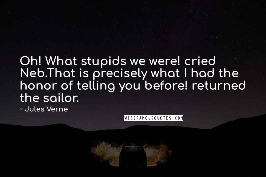 Jules Verne Quotes: Oh! What stupids we were! cried Neb.That is precisely what I had the honor of telling you before! returned the sailor.