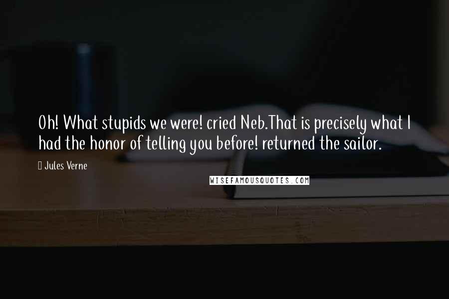 Jules Verne Quotes: Oh! What stupids we were! cried Neb.That is precisely what I had the honor of telling you before! returned the sailor.