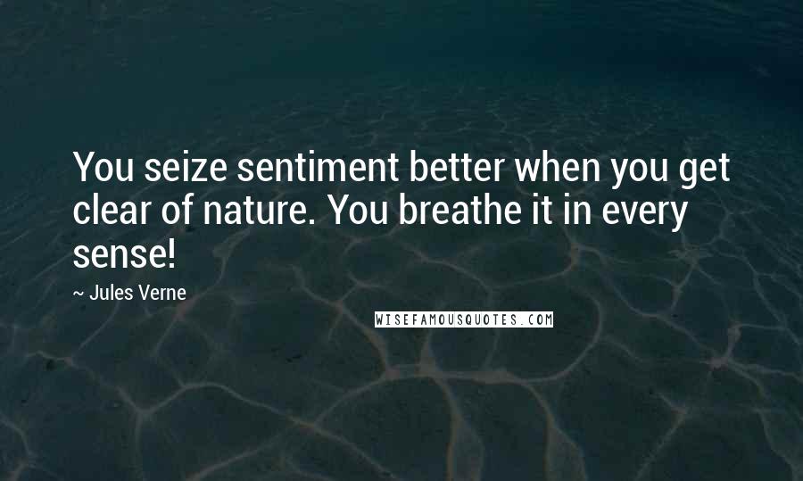 Jules Verne Quotes: You seize sentiment better when you get clear of nature. You breathe it in every sense!