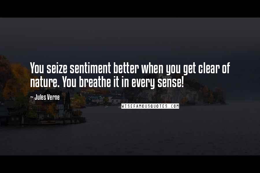 Jules Verne Quotes: You seize sentiment better when you get clear of nature. You breathe it in every sense!