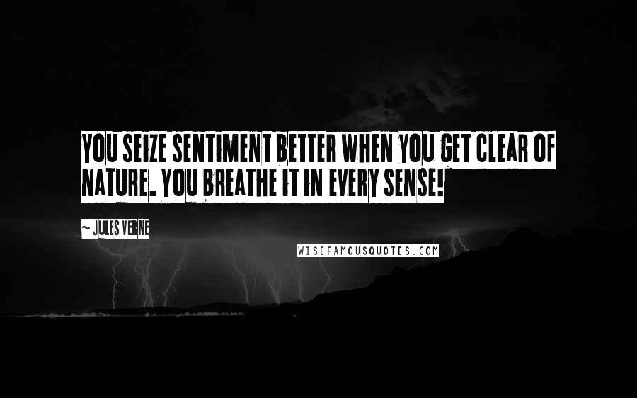 Jules Verne Quotes: You seize sentiment better when you get clear of nature. You breathe it in every sense!