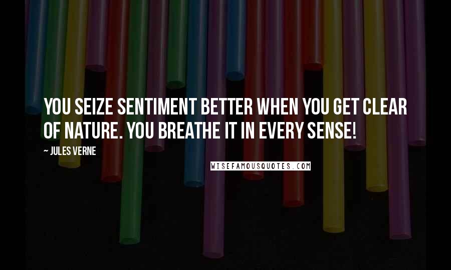 Jules Verne Quotes: You seize sentiment better when you get clear of nature. You breathe it in every sense!