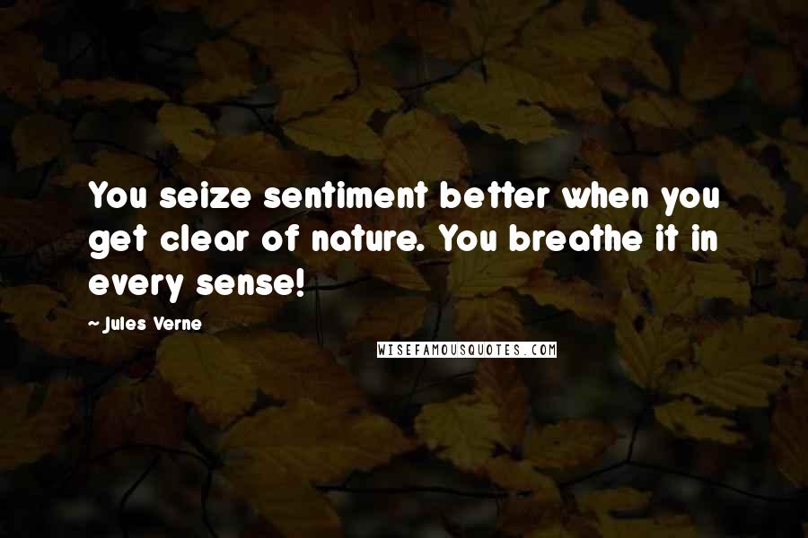 Jules Verne Quotes: You seize sentiment better when you get clear of nature. You breathe it in every sense!