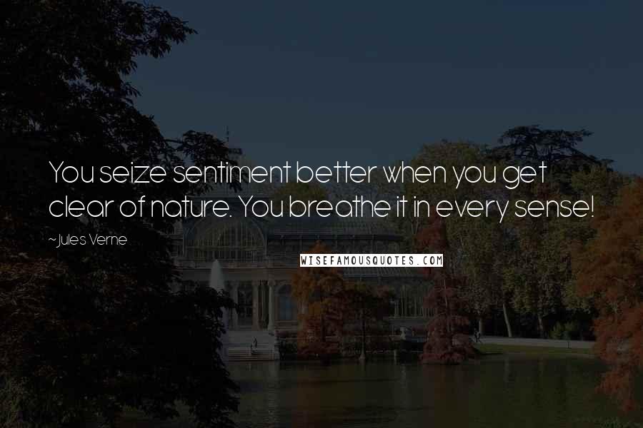 Jules Verne Quotes: You seize sentiment better when you get clear of nature. You breathe it in every sense!