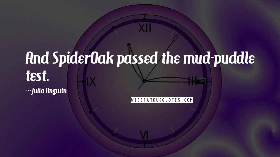 Julia Angwin Quotes: And SpiderOak passed the mud-puddle test.