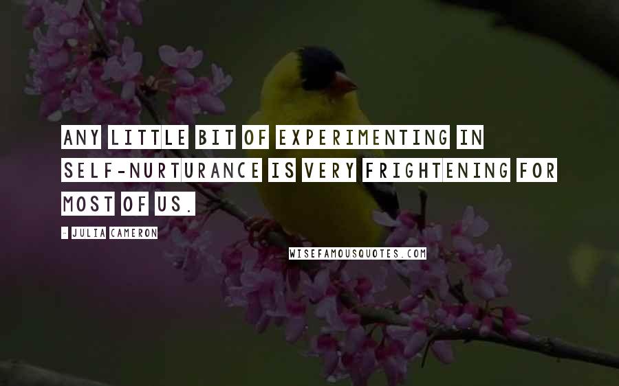 Julia Cameron Quotes: Any little bit of experimenting in self-nurturance is very frightening for most of us.