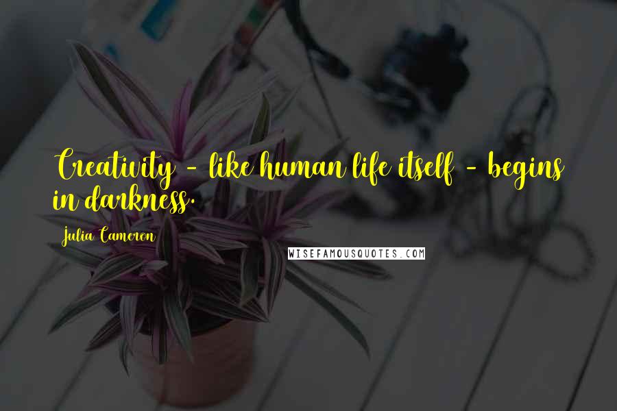 Julia Cameron Quotes: Creativity - like human life itself - begins in darkness.