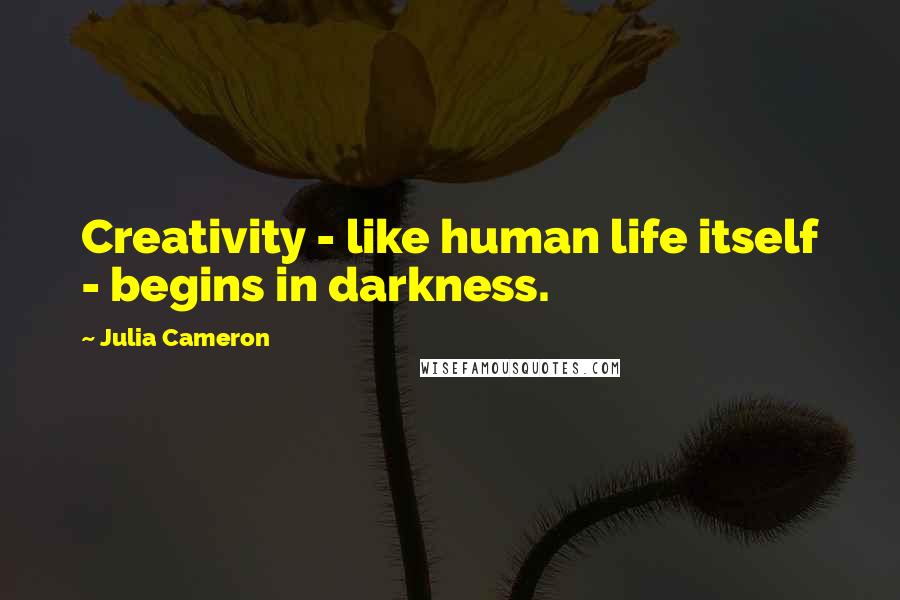 Julia Cameron Quotes: Creativity - like human life itself - begins in darkness.