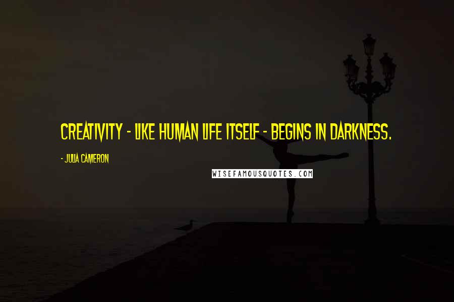 Julia Cameron Quotes: Creativity - like human life itself - begins in darkness.